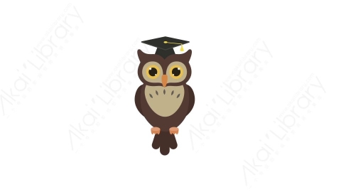 AE模板 15-owl猫头鹰MG扁平卡通教育学校教室用具元素图标