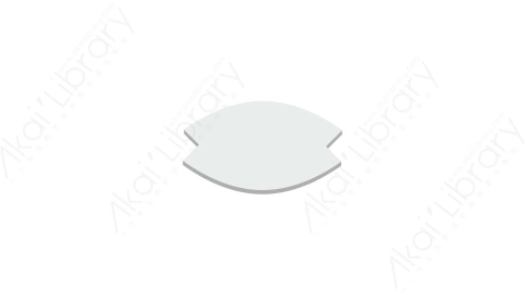AE模板 03-lable-shape-elem-3不规则形状标签文本框