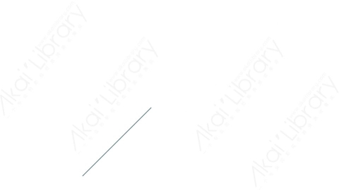 AE模板 03-motion-shape-3运动图形线条动画装饰元素