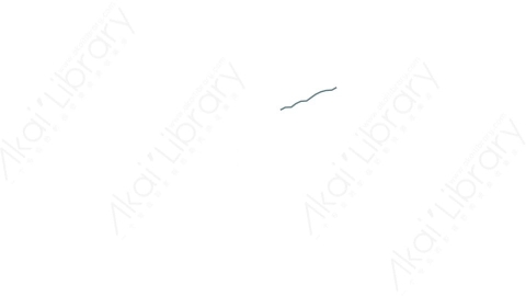 AE模板 09-motion-shape-9运动图形线条动画装饰元素