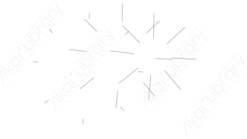 AE模板 37-motion-shape-37运动图形线条动画装饰元素