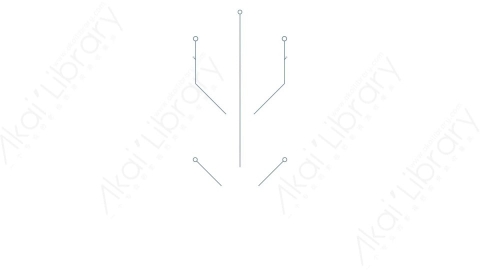 AE模板 52-motion-shape-52运动图形线条动画装饰元素