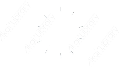 AE模板 88-motion-shape-88运动图形线条动画装饰元素