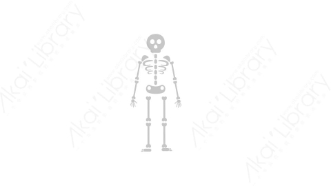 AE模板 30-skeleton人体骨架骨骼MG扁平卡通医疗医院元素图标