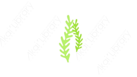 AE模板 07-bg-props-vol5植物MG扁平卡通背景道具元素图标