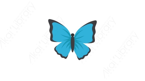 AE模板 72-butterfly蝴蝶MG扁平卡通节日马戏团元素图标