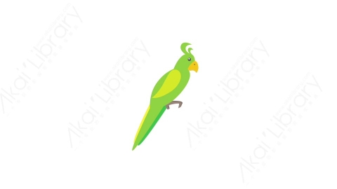 AE模板 82-parrot鹦鹉MG扁平卡通节日马戏团元素图标