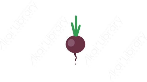 AE模板 04-beet甜菜蔬菜MG扁平卡通食物蔬菜水果元素图标