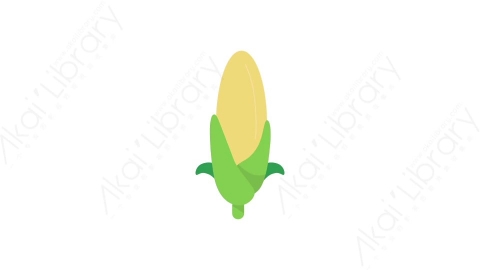 AE模板 23-corn玉米蔬菜MG扁平卡通食物蔬菜水果元素图标