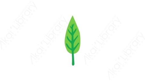AE模板 10-leaf树叶叶子MG扁平卡通自然生态元素图标