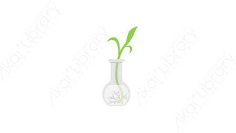 AE模板 21-sprout-2种子发芽MG扁平卡通自然生态元素图标