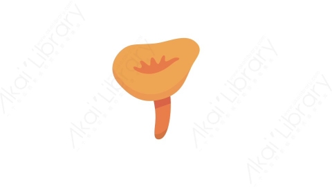 AE模板 27-mushroom-7蘑菇MG扁平卡通自然元素图标