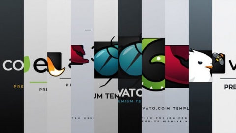 AE模板-结束标签动画包装包10种风格视频片尾结束片头logo演绎开场视频