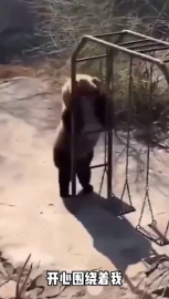 视频素材 dj熊_名场面魔性视频素材