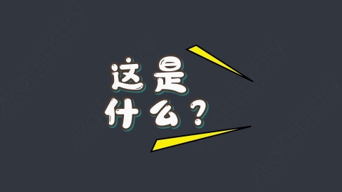 AE模板-这是什么？综艺花字弹幕动画