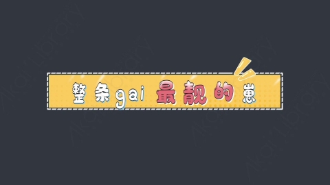 AE模板-整条gai最靓的崽综艺花字弹幕动画