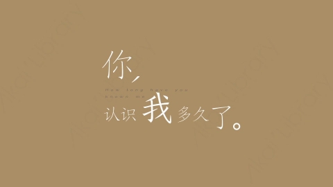 AE模板-你认识我对久了综艺花字弹幕暖场抒情