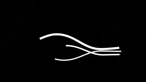 AE模板-Curved-line-3扁平MG运动图形线条动画装饰元素