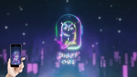 AE模板-夜城标志揭示黑夜城市多彩发光线条霓虹灯片头logo演绎开场视频