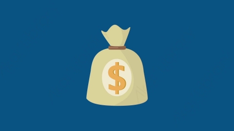 AE模板-MG扁平金融元素图标Bag_money钱袋