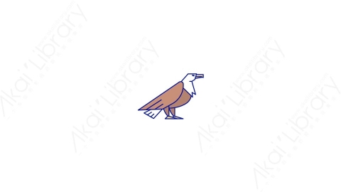 AE模板-MG扁平元素图标Eagle老鹰动物
