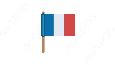 AE模板-MG扁平国家旗帜元素图标France flag法国国旗