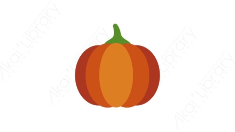 AE模板-MG扁平食物饮食元素图标Pumpkin南瓜