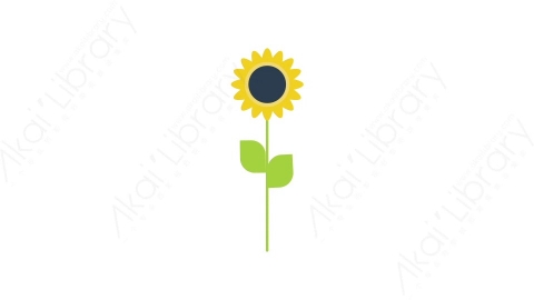 AE模板-sunflower向日葵MG扁平自然户外元素图标