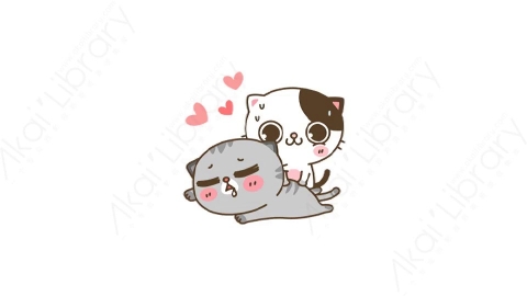 视频素材-可爱搞笑猫咪动态表情包_01_02