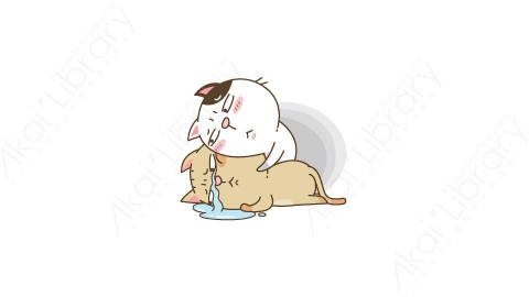 图片素材-可爱搞笑猫咪静态表情包_11_26