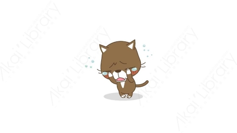 视频素材-可爱搞笑猫咪静态表情包_14_12