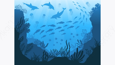 图片素材-MG水下海洋动物深海植物鱼类和海洋海藻