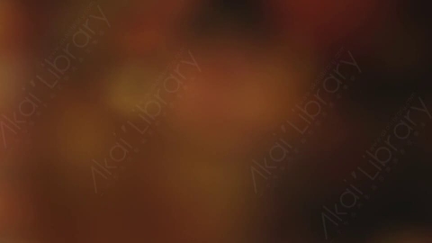 视频素材-耀斑005