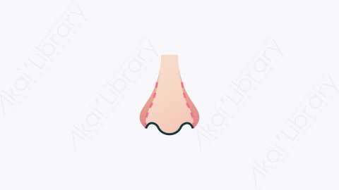 图片素材-025-隆鼻术nose_augmentation扁平卡通整形外科图标