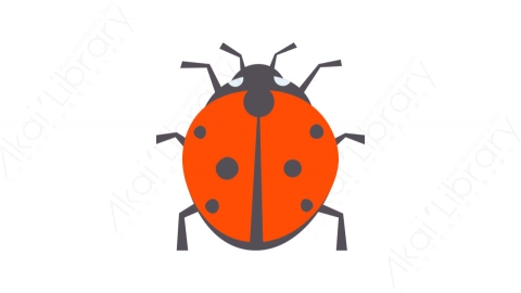 图片素材-033瓢虫_ladybug秋季自然道具元素图标