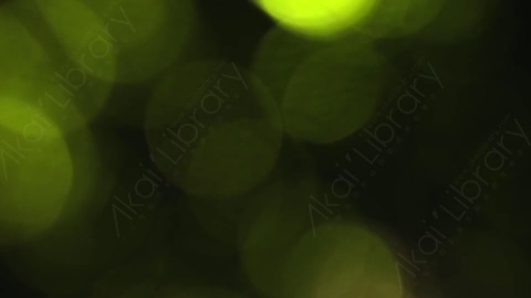 视频素材-耀斑048