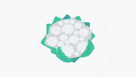 图片素材-070-花椰菜cauliflower扁平卡通水果和蔬菜的图标元素