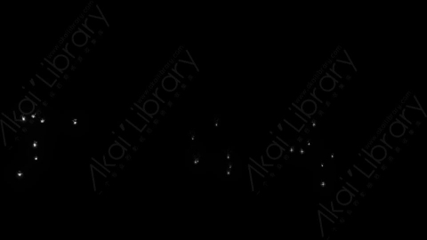 视频素材-烟花13_Small_MultiBang2