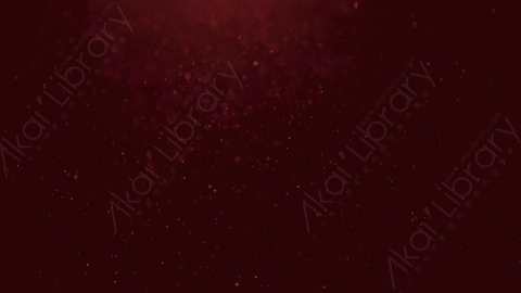 视频素材-尘土灰尘颗粒Particles_DustBubbles_Tinted_Red