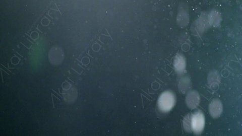 视频素材-尘土灰尘颗粒Particles_DustBubbles_Snow_02