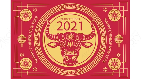图片素材-扁平2021牛年中国风新年春节喜庆贺图-15