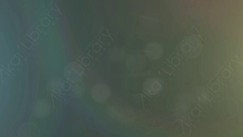 视频素材-漏光3