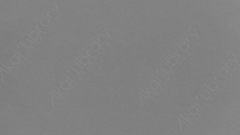 视频素材-噪点颗粒35mm_Course_Grain_02