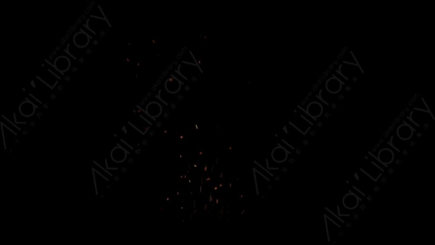 视频素材-燃烧余烬火花4K_Embers_045