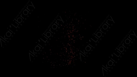 视频素材-燃烧余烬火花4K_Embers_055