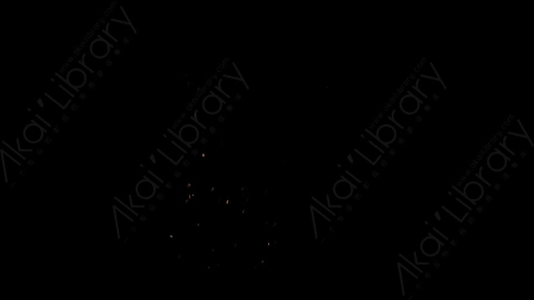 视频素材-燃烧余烬火花4K_Embers_061