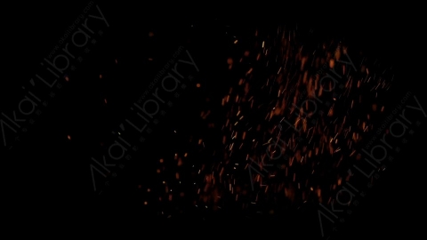 视频素材-燃烧余烬火花4K_Embers_062