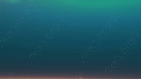 视频素材-漏光9
