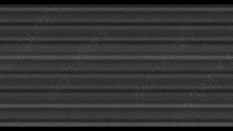 视频素材-信号丢失Analog_Overlay_3