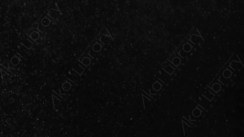 视频素材-下雪雪花飘落BlowingSnow_02
